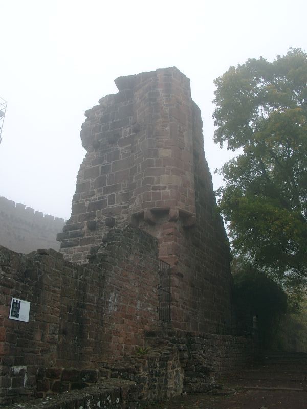 Burg Dilsberg