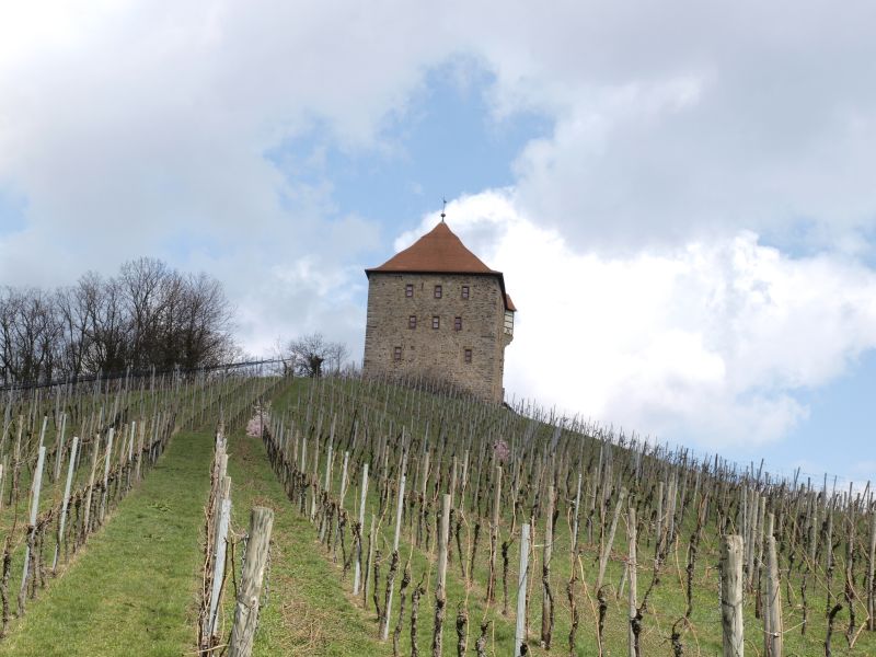 Burg Wildeck