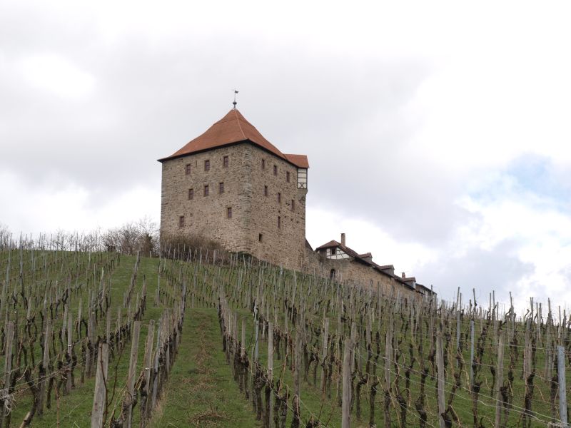 Burg Wildeck