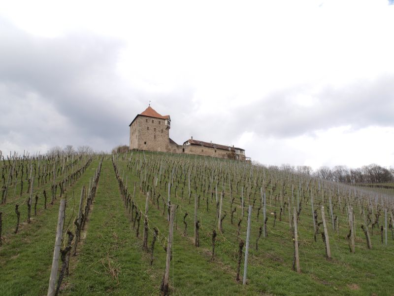 Burg Wildeck