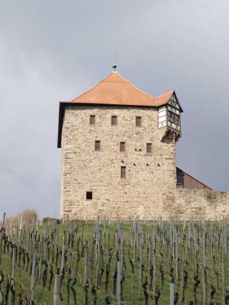 Burg Wildeck