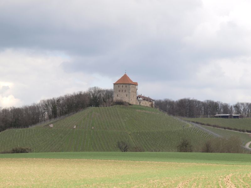 Burg Wildeck