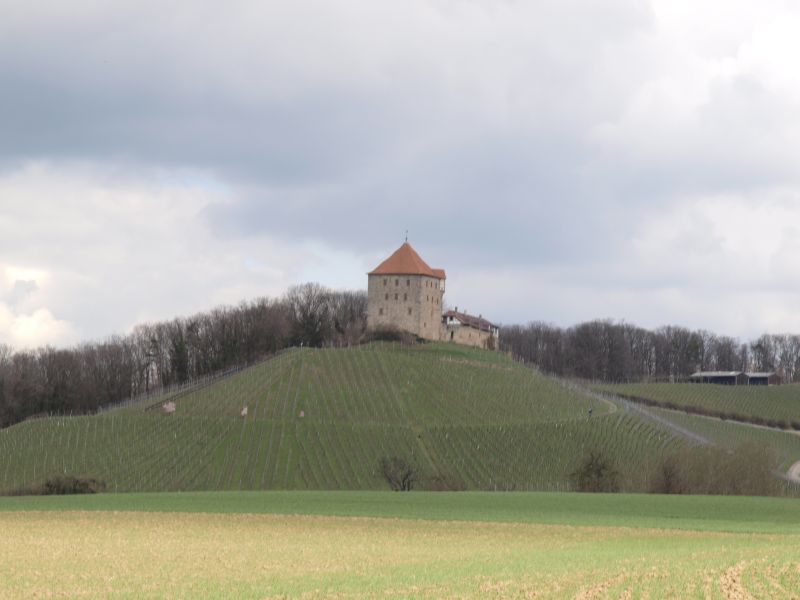 Burg Wildeck