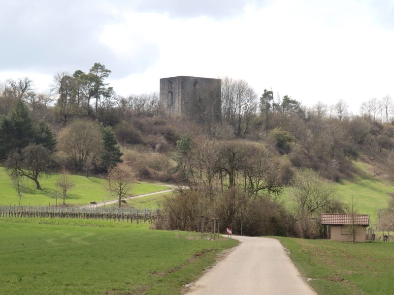 Burgruine Helfenberg