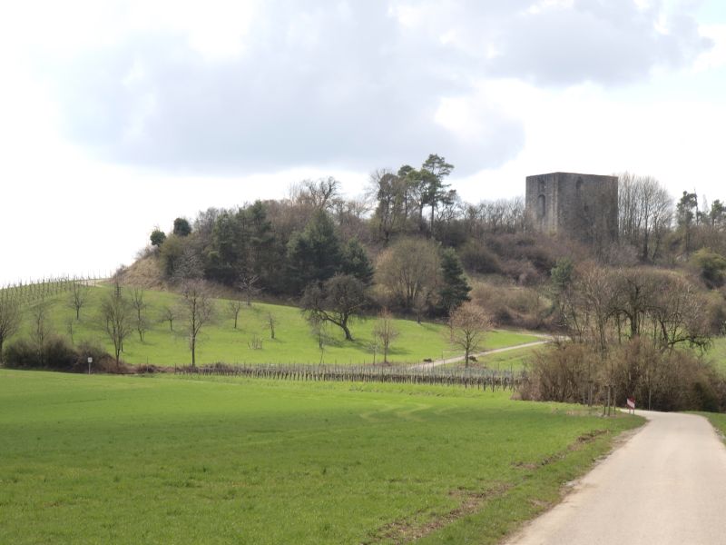 Burgruine Helfenberg