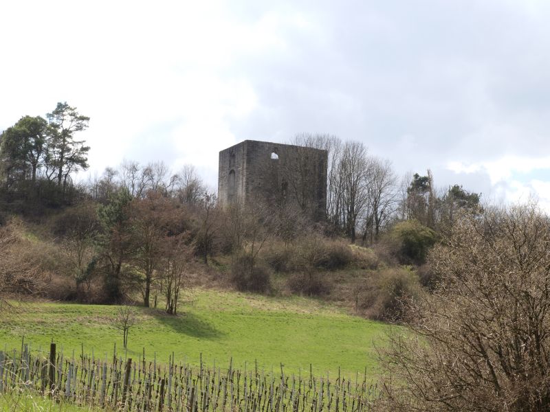 Burgruine Helfenberg