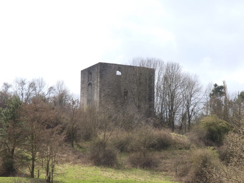 Burgruine Helfenberg