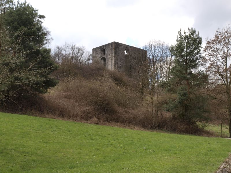 Burgruine Helfenberg