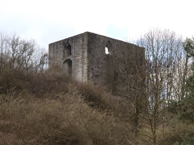 Burgruine Helfenberg