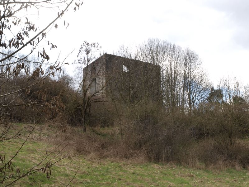 Burgruine Helfenberg