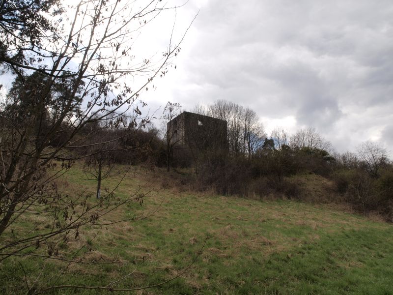 Burgruine Helfenberg