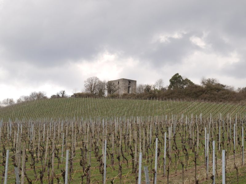 Burgruine Helfenberg