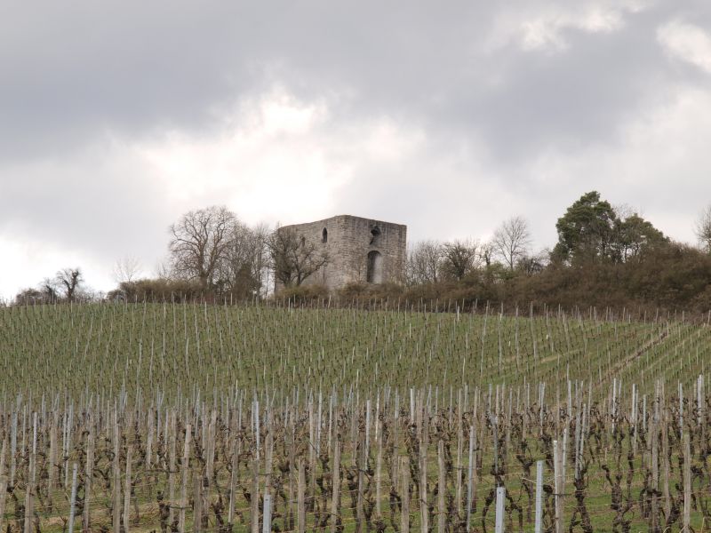 Burgruine Helfenberg