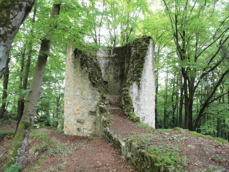 Burg Ehrenfels