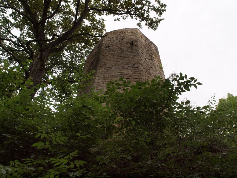 Burgruine Ebermannsdorf