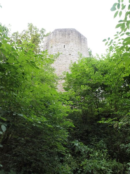 Burgruine Ebermannsdorf