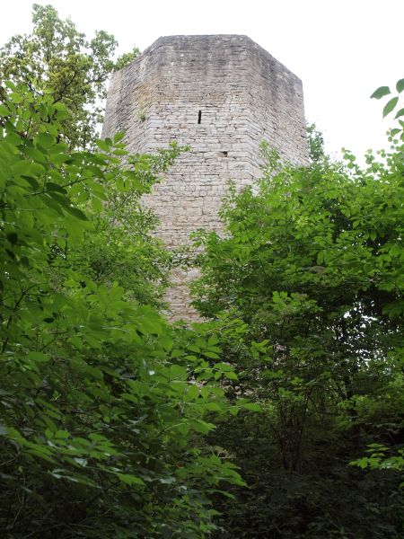 Burgruine Ebermannsdorf