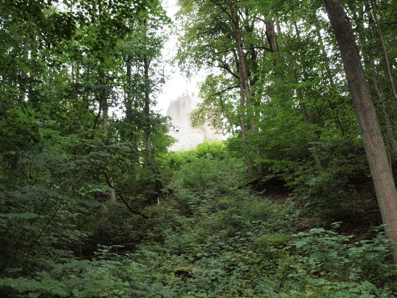 Burgruine Ebermannsdorf