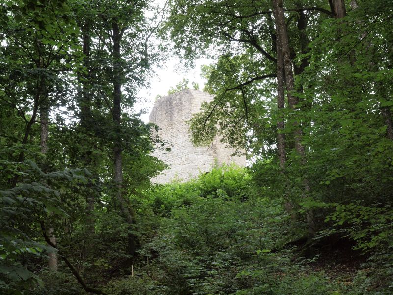 Burgruine Ebermannsdorf