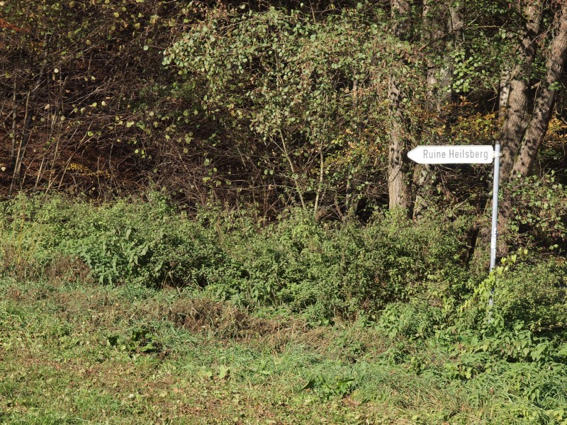 Burgruine Heilsberg