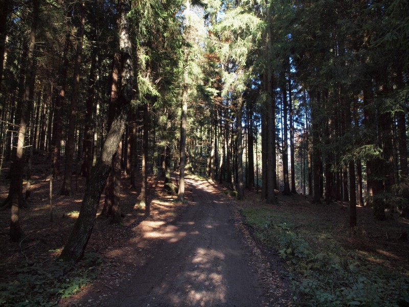 Burgruine Lichtenegg