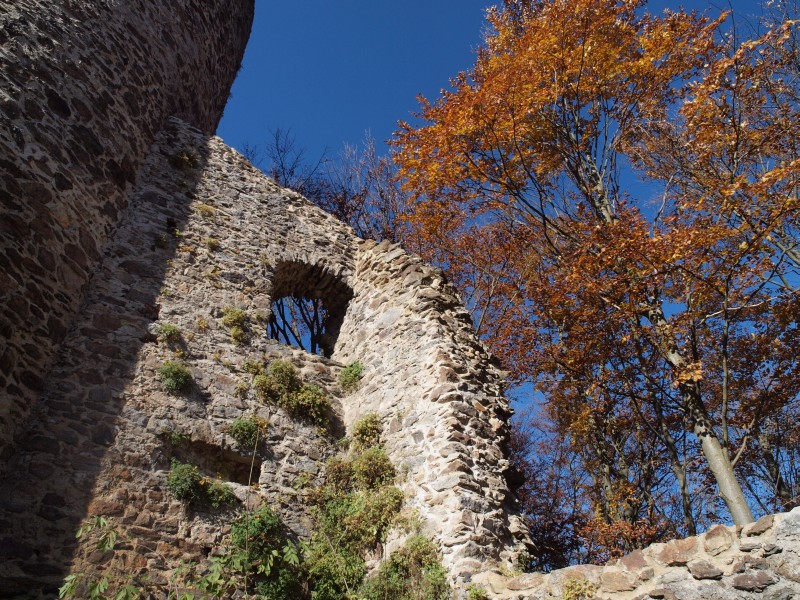 Burgruine Lichtenegg