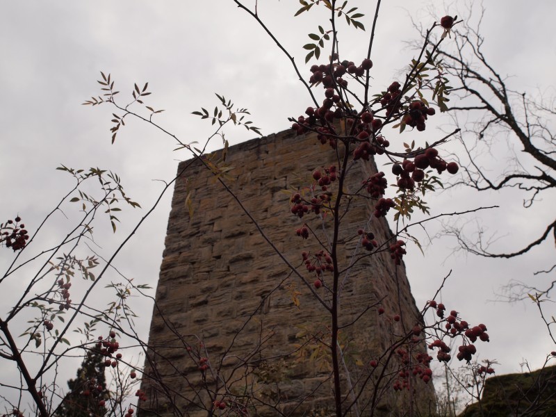 Burgruine Lichtenstein