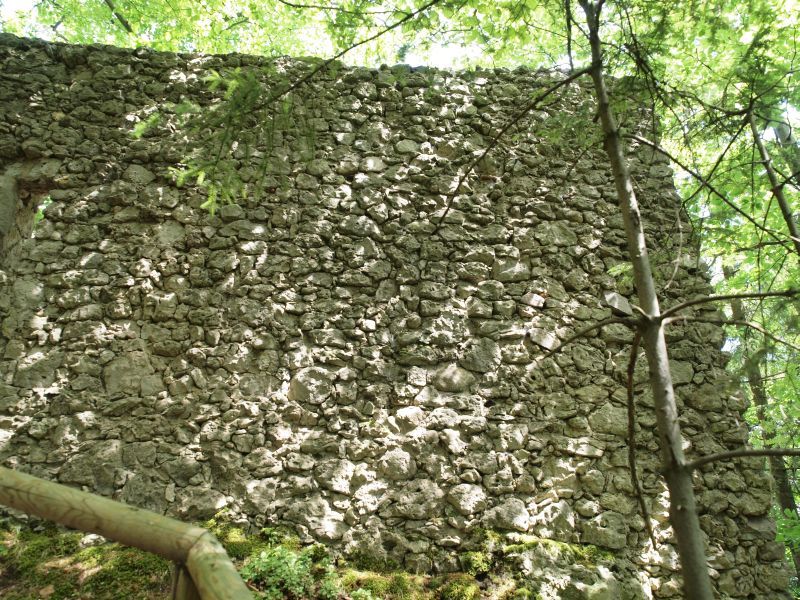 Burgruine Wildenfels