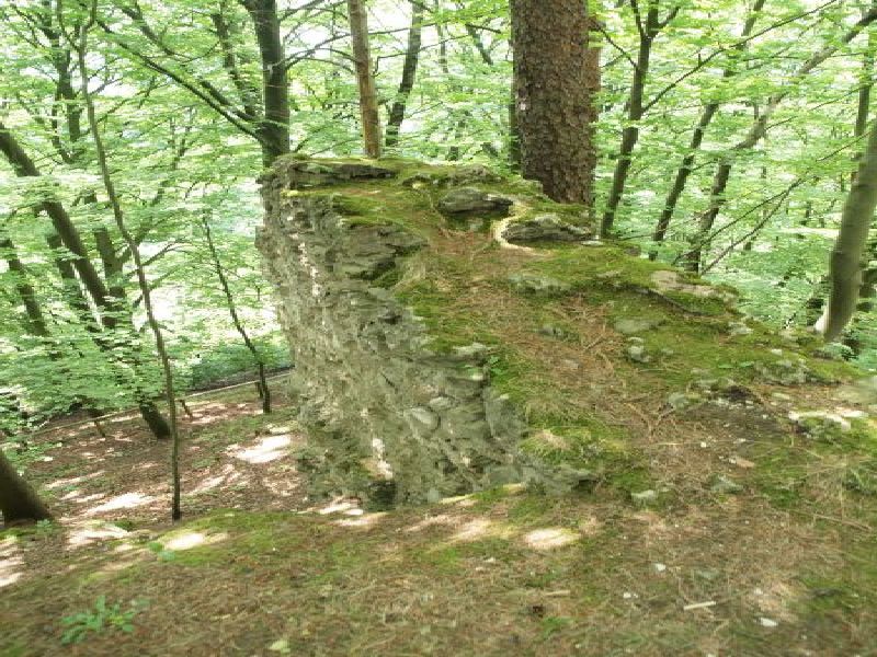 Burgruine Wildenfels