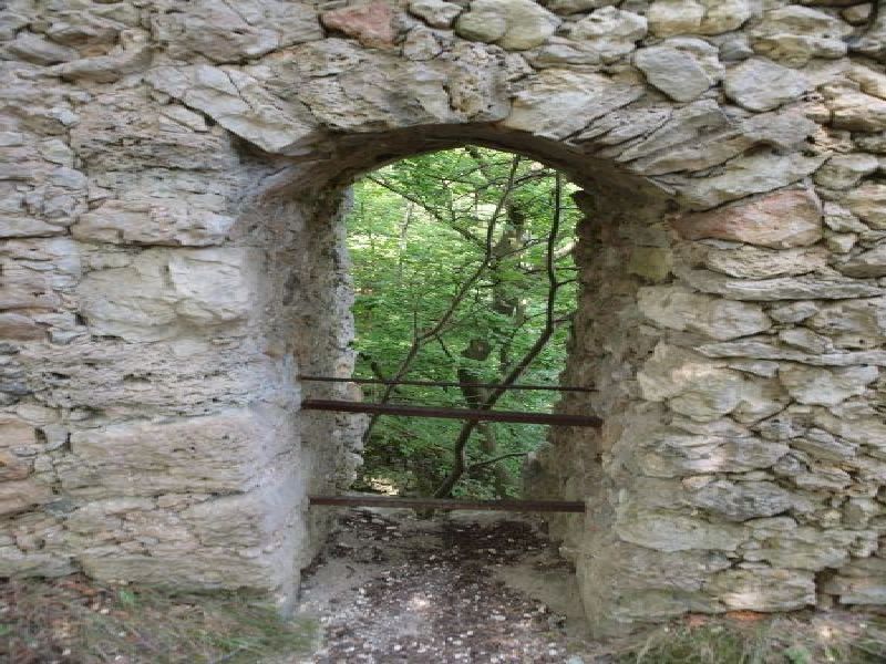 Burgruine Wildenfels