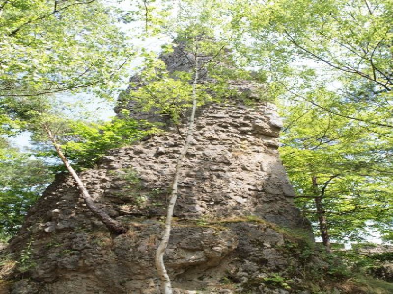 Burgruine Wildenfels