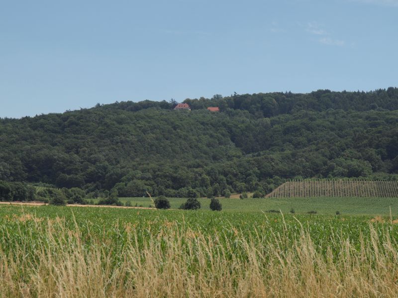 Jagdschloss Friedrichsberg