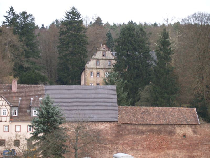 Neue Schloss