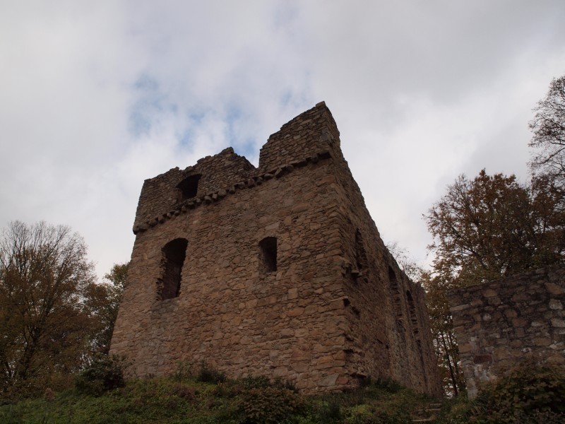 Ruine Krnberg