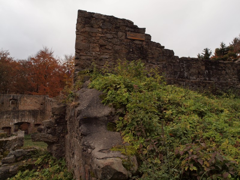 Ruine Krnberg