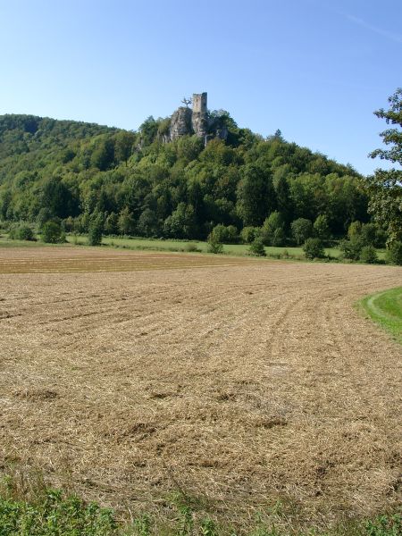 Ruine Neideck