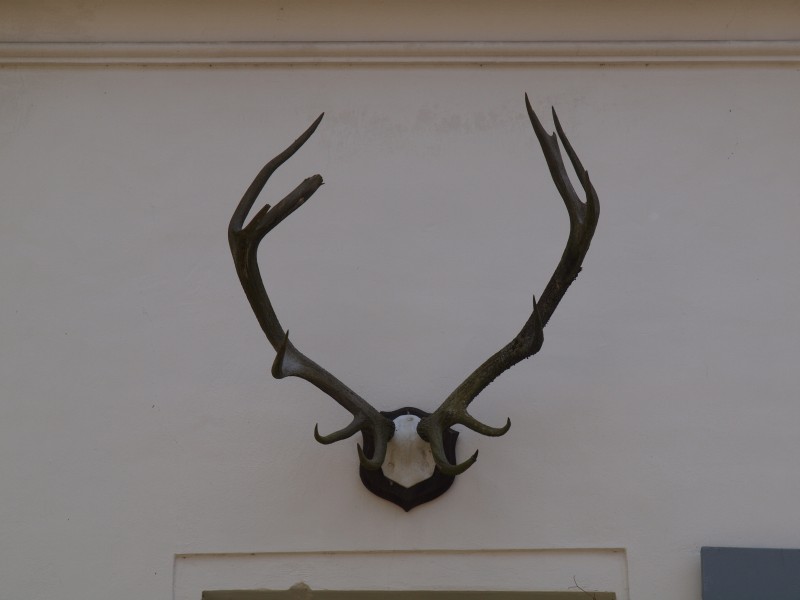 Jagdschloss Grunewald