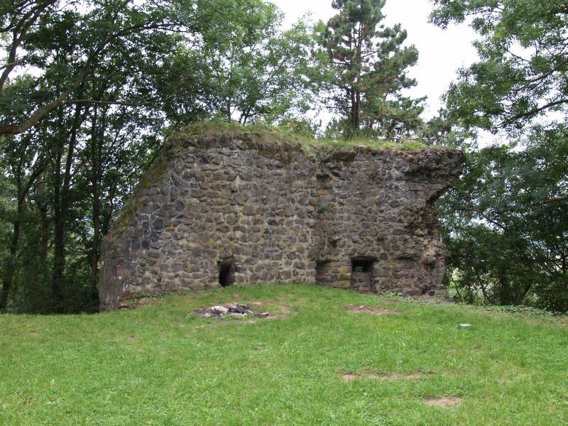 Burg Kalsmunt