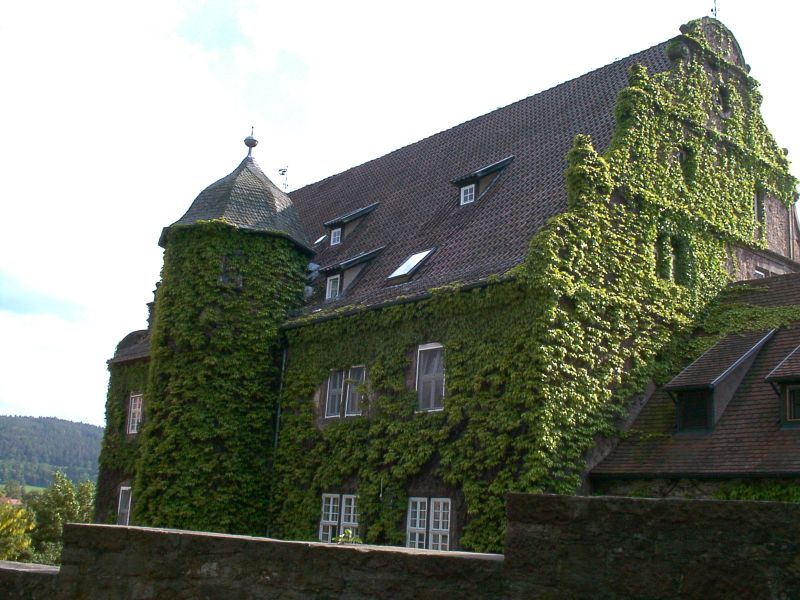 Burg Schlitz