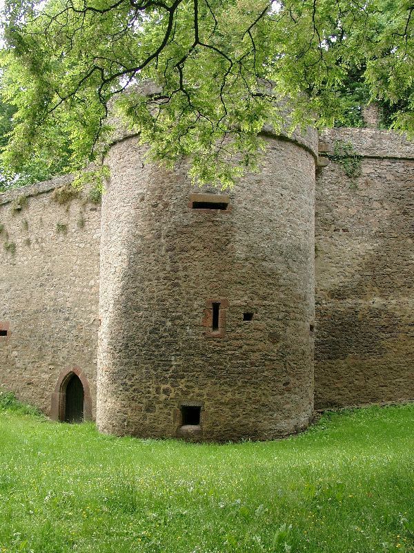 Burg Schweinsberg