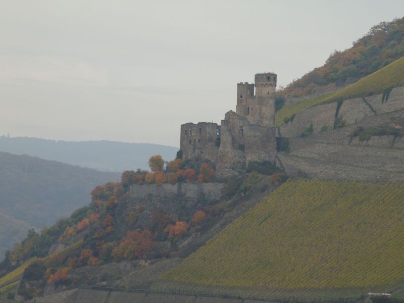 Burgruine Ehrenfels