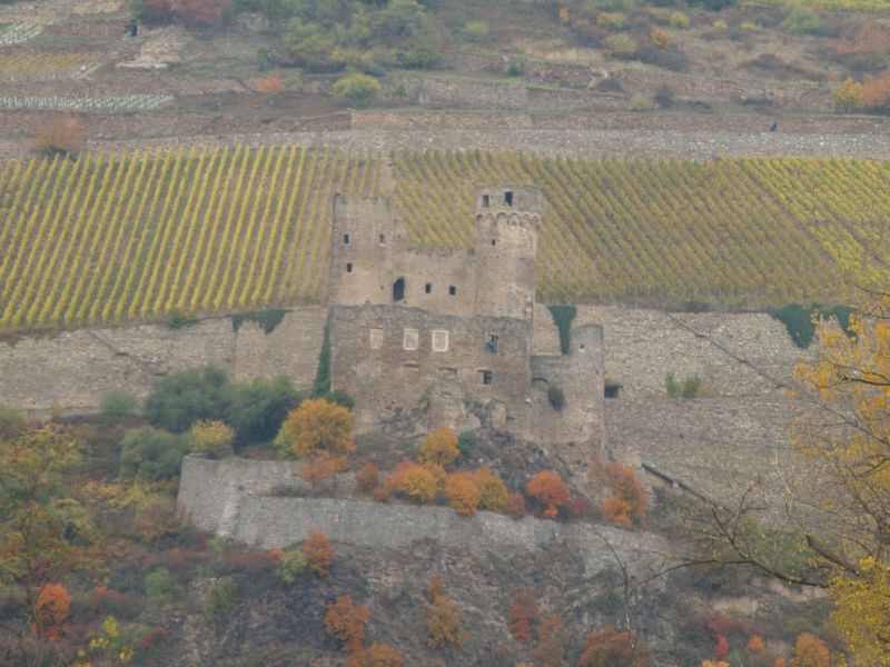 Burgruine Ehrenfels