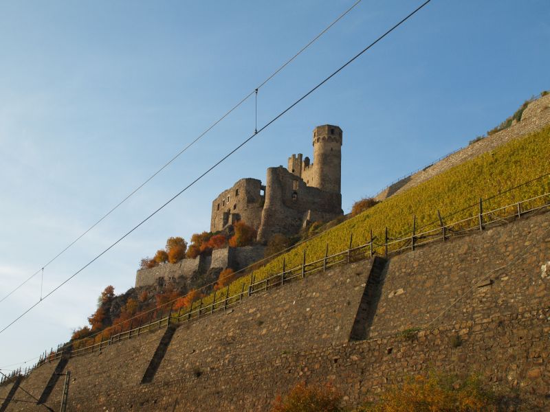 Burgruine Ehrenfels