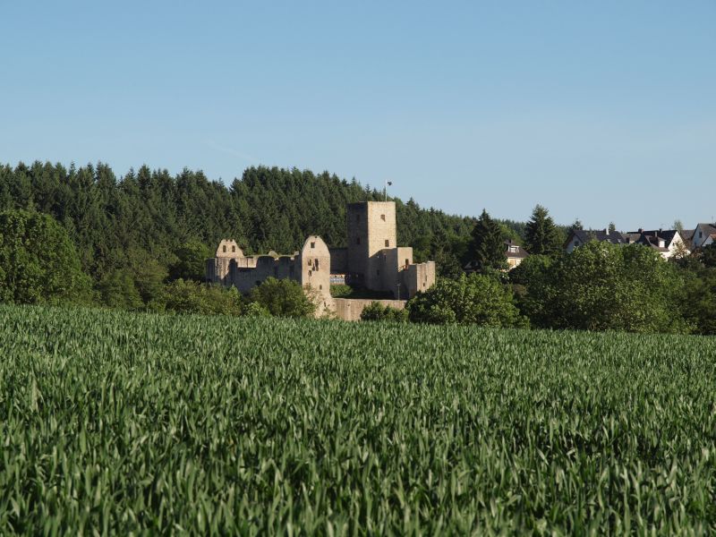 Burgruine Freienfels