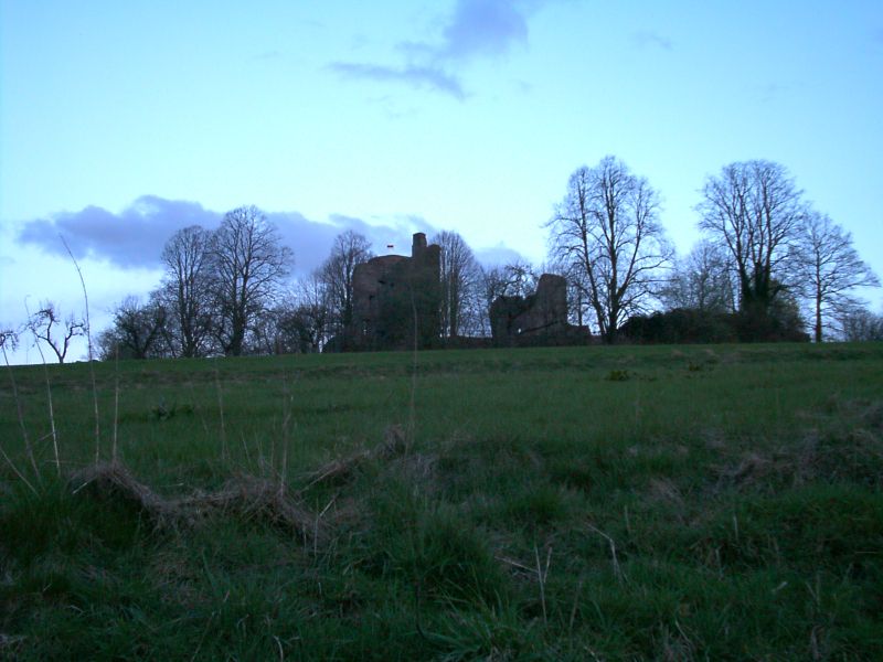 Ruine Krukenburg