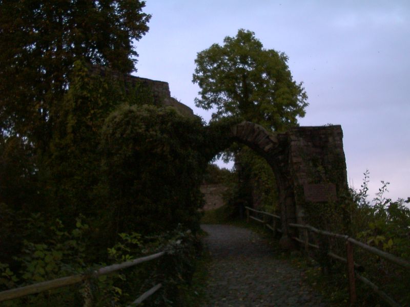 Ruine Krukenburg