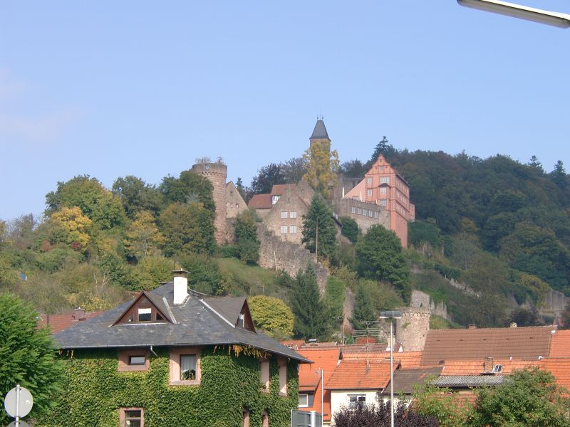 Vorschaubild Ansicht Schloss Hirschhorn (Titelfoto)