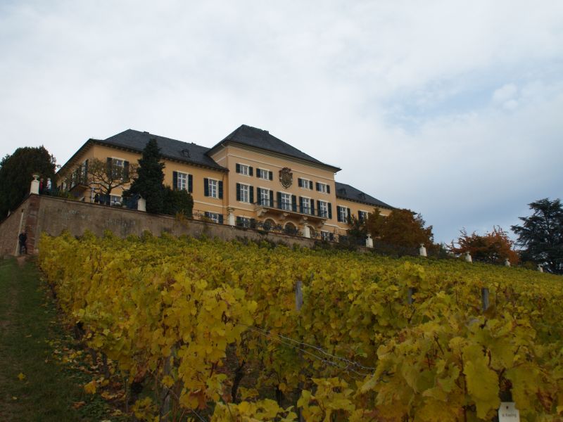 Schloss Johannisberg