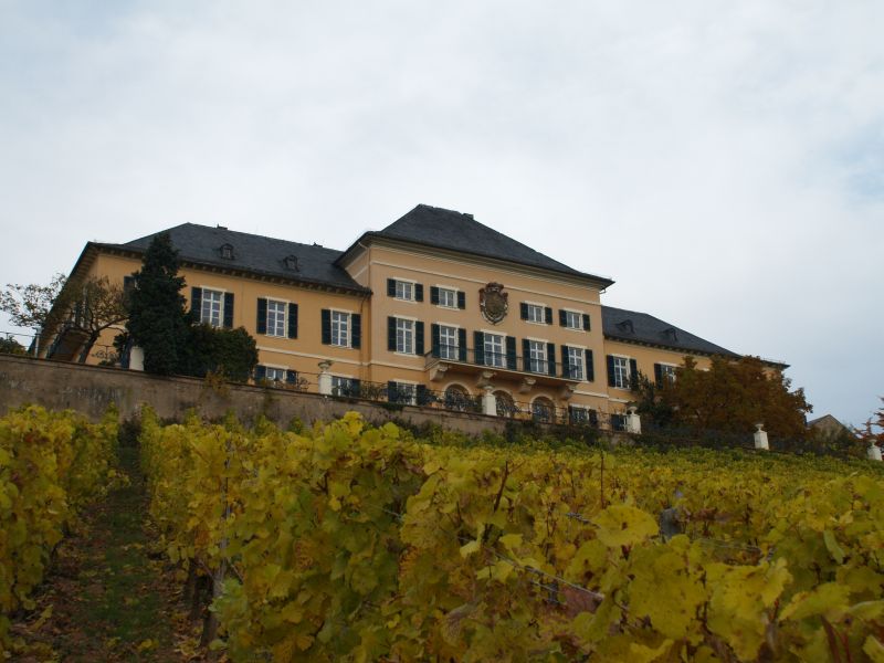 Schloss Johannisberg