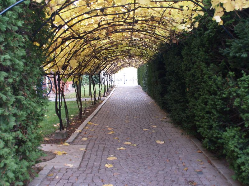 Schloss Johannisberg